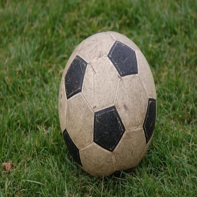 泰山队最新罚单引关注